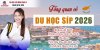 tong-quan-du-hoc-sip-min.jpg
