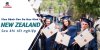 visa-du-hoc-new-zealand-sau-khi-tot-nghiep-min.jpg