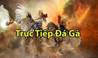 tructiepdagabet79