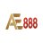 AE888capitalplanning