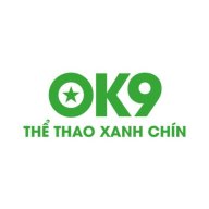 ok9vin01